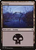 Swamp - C16 #344