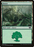 Forest - C14 #336
